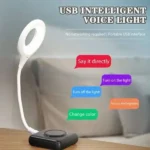 USB Voice Lamp